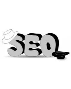 انواع روش های سئو در تبریز